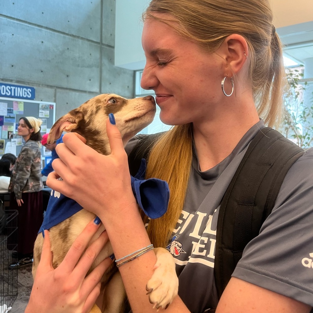 Meet your Posher, Amelia